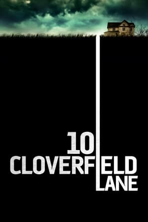 10 Cloverfield Lane (2016) Dual Audio | Dubbed Hindi Movie BluRay 330MB
