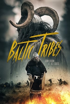 Baltic Tribes 2018 Dual Audio HDRip | Dubbed Hindi Movie – 480p