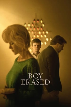 Boy Erased (2018) Dual Audio | Dubbed Hindi Movie BluRay [900MB]