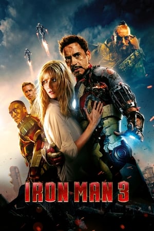 Iron Man 3 (2013) Dual Audio | Dubbed Hindi Movie BluRay 300MB
