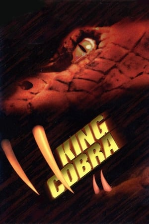 King Cobra 1999 Dual Audio | Dubbed Hindi Movie Web-DL [1GB]