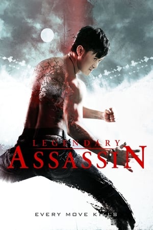 Legendary Assassin (2008) Dual Audio | Dubbed Hindi Movie BluRay [1GB]
