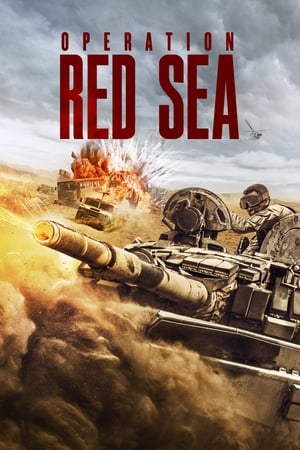 Operation Red Sea (2018) Dual Audio | Dubbed Hindi Movie BluRay 450MB