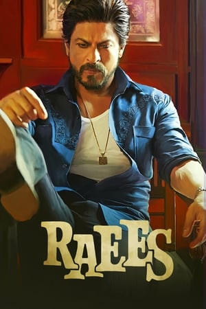 Raees 2017 Full Movie Bluray | Dubbed Hindi Movie [1.2GB] Download