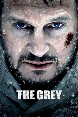 The Grey 2011 Dual Audio | Dubbed Hindi Movie BluRay [830MB]