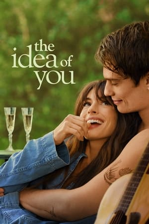 The Idea of You 2024 Dual Audio HDRip | Dubbed Hindi Movie – 720p – 480p
