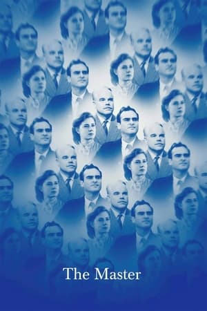 The Master 2014 Dual Audio | Dubbed Hindi Movie WebRip 300MB