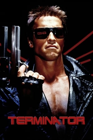 The Terminator (1984) Dual Audio | Dubbed Hindi Movie BluRay 380MB